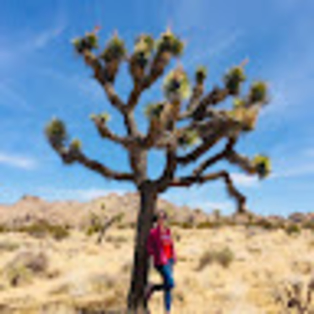 Meet your Posher, Emily marie